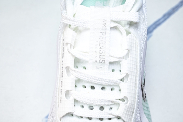 Nike Air Zoom Pegasus Premium HQ2593-103 