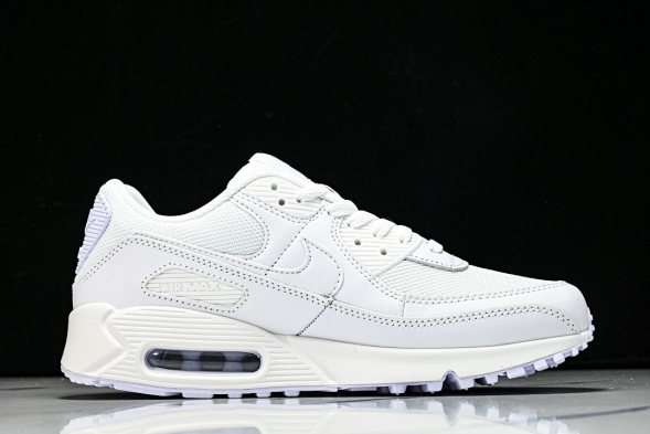 Nike Air Max 90 CN8490 100 