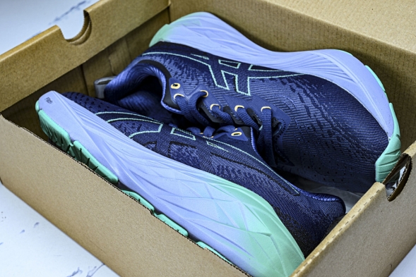 Asics Novablast 4 1012B510-401 