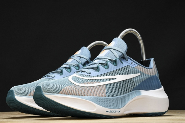 Nike Zoom Fly 5 DM8968 400 