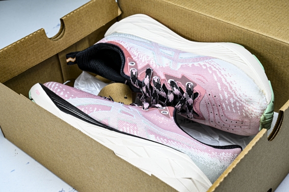 Asics Novablast 4 1012B654-250 