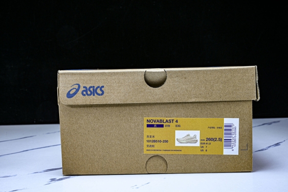 Asics Novablast 4 1012B510-250 