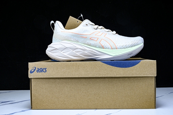 Asics Novablast 4 1012B510-250 