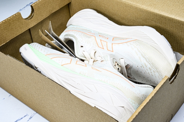 Asics Novablast 4 1012B510-250 