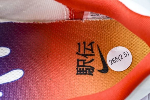 Nike Zoom Fly 6 HQ3498 100 