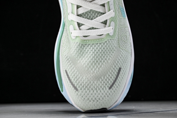 Nike Air Zoom Premium FN8453-014 