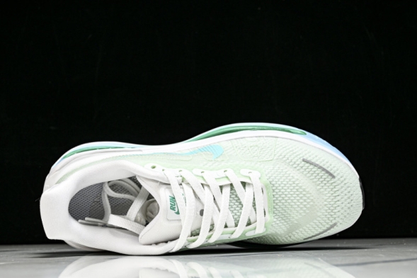 Nike Air Zoom Premium FN8453-014 