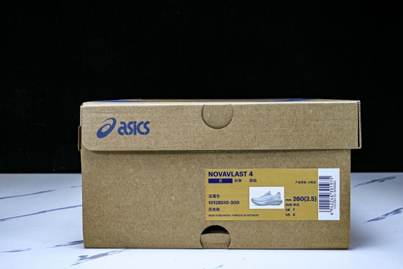 Asics Novablast 4 1012B510-300 