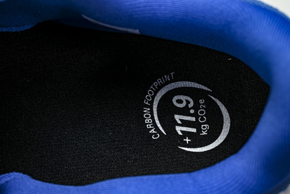 Asics Novablast 5 1011B974-403 