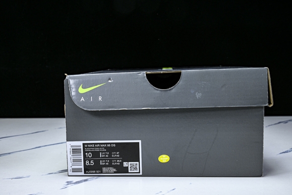 Nike Air Max 95 HJ5996 001 