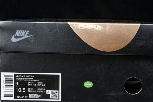 Nike Air Max 95 HQ6457-001 