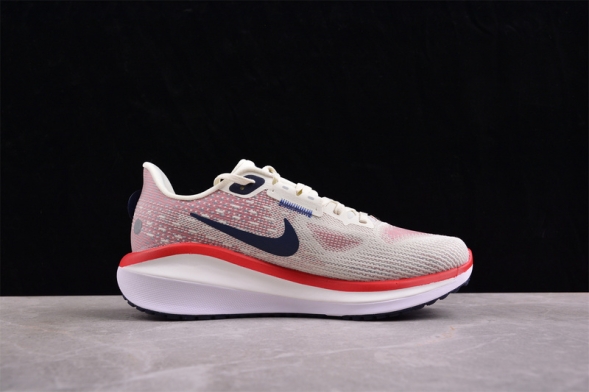 Nike Air Zoom Vomero 17 FB1309-003 