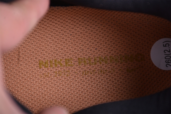 Nike Air Zoom Vomero 17 FB1309-006 