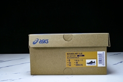 Asics Novablast 5 1011B974-001