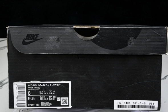 Nike ACG Mountain Fly 2 Low SP FZ3311 100 