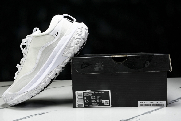 Nike ACG Mountain Fly 2 Low SP FZ3311 100 
