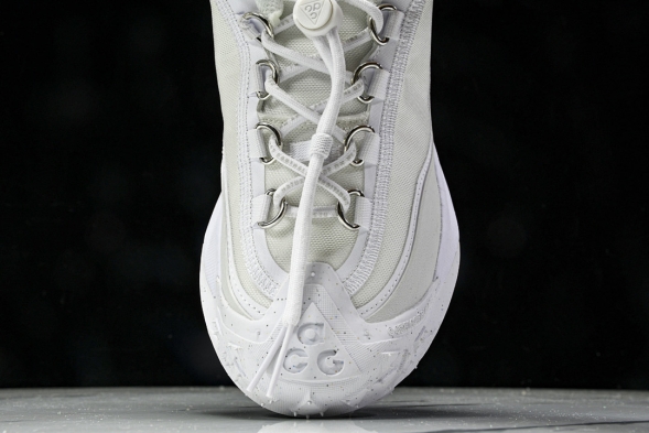 Nike ACG Mountain Fly 2 Low SP FZ3311 100 