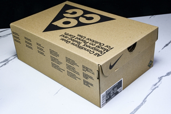 Nike ACG Mountain Fly Low GTX SE D09334 100 