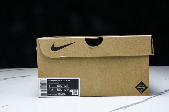 Nike ACG Mountain Fly Low GTX SE D09334 100 