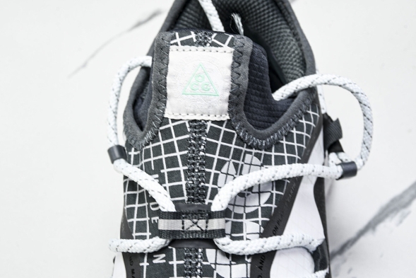 Nike ACG Mountain Fly Low GTX SE D09334 100 