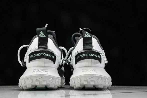 Nike ACG Mountain Fly Low GTX SE D09334 100 