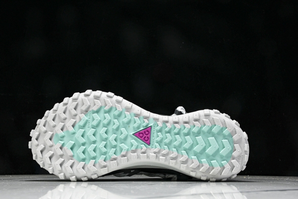 Nike ACG Mountain Fly Low GTX SE D09334 100 