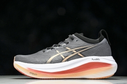 Asics Gel-Nimbus 27 1011B958-021