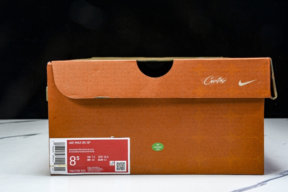 Nike Air Max 95 x Corteiz FB2709-001 